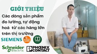 Kiểm tra hàng Siemens Schneider IFM Phoenix Contact Balluff và Load cell tại văn phòng INO [upl. by Esahc]