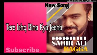 Tere Ishq Bina Kya Jeena  Sahir Ali Bagga  New Song [upl. by Ahsehat]