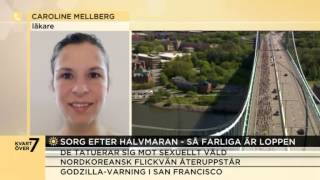 Dog efter Göteborgsvarvet  så farliga är loppen  Nyhetsmorgon TV4 [upl. by Aihsinat]