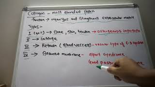 Collagen Types and Collagen Synthesis  USMLE step 1  Lecture 8 [upl. by Mendelsohn]