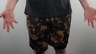 Mens Style amp Function Mens Dragon Swim Shorts Review [upl. by Funch580]