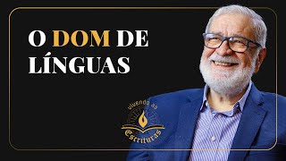 O Dom de Línguas  Augustus Nicodemus  VivendoAsEscrituras [upl. by Aineg]