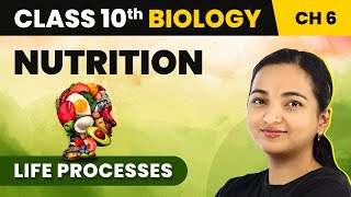 Nutrition  Life Processes  Class 10 Science Chapter 5 [upl. by Annoel223]