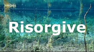 Risorgive [upl. by Iroak]