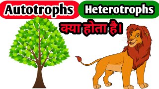 AUTOTROPHS HETEROTROPHS Autotrophs And Heterotrophs BIOBOX What Is Autotrophs [upl. by Airehtfele76]