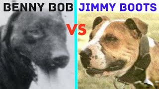 Classic Match Benny Bob vs Jimmy Boots apbt dogtalk apbthistory gamedog sportingdogs [upl. by Derek]