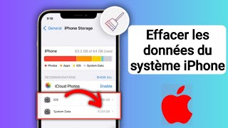 Comment nettoyer les données système sur iPhone  Comment supprimer les données système sur iPhone [upl. by Reiter181]