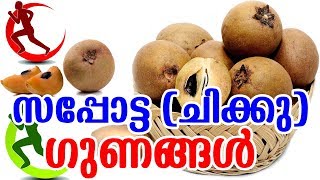 സപ്പോട്ട ചിക്കു  ഗുണങ്ങൾ  Benefits Of Sapota Chikoo  TASTY WORLD  Sapodilla Health Benefits [upl. by Kay828]