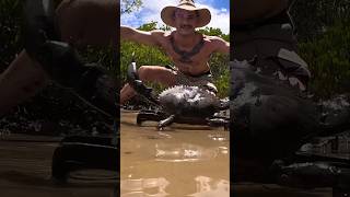 ELUSIVE MUDCRAB Catch and Cook survival [upl. by Nareht799]