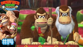 Cranky sen miel  Donkey Kong Country Tropical Freeze 14 [upl. by Trainer79]