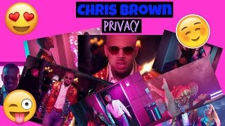 Chris Brown Privacy Music Video  Reaction [upl. by Dnomzed270]