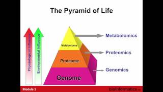 Introduction to Metabolomics [upl. by Navnod379]