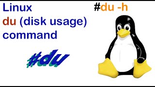 The du disk usage command [upl. by Gilba126]