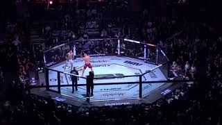 Sergei Pavlovich vs Tom Aspinall FULL FIGHT TKO  UFC 295 [upl. by Friederike]