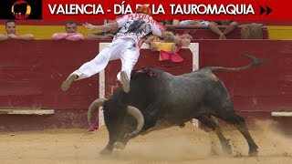 VALENCIA  LEYENDAS Y RECORTADORES CON TOROS DE DIFERENTES GANADERÍAS [upl. by Millham]