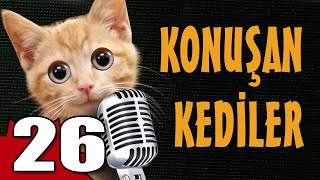 Konuşan Kediler 26  En Komik Kedi Videoları [upl. by Cyn]