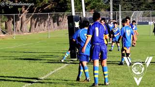 U12 PETONE PANTHERS VS RANDWICK KINGFISHERS 2022 [upl. by Kissner]