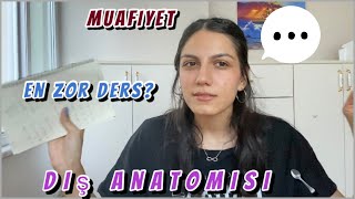 Diş Hekimliği Fakültesi 1 Sınıf Dersleri yorumlama amp tavsiyeler şahsi [upl. by Arries]