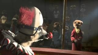 New comparethemeerkatcom advert Sergei joins the circus [upl. by Tremann204]