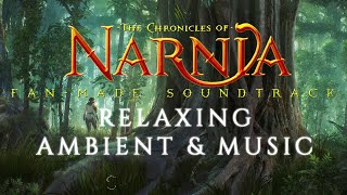 The Chronicles of Narnia  Relaxing Ambient amp Music  William Maytook [upl. by Otrepur771]