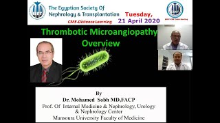 Thrombotic Microangiopathy Overview Prof Mohamed Sobh 21 April 2020 [upl. by Notnerb]