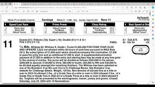 2024 Whitney Stakes Analysis and Picks  Saratoga [upl. by Coltin]