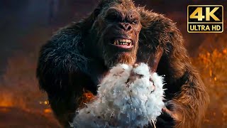 All King Kong Vs Titans Fights amp Death Scenes 2024 Godzilla x Kong Movie [upl. by Yliah4]