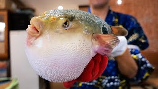 Japanese Food  POISONOUS FUGU Fukumeshi Okinawa Seafood Japan [upl. by Rudyard]