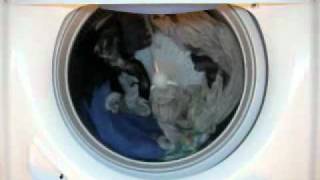 2010 Whirlpool Washer Capacity Cabrio Full Wash Video Normal Playback [upl. by Alahc280]