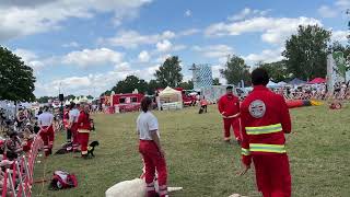 Rettungshunde Vorführung beim Donauinselfest 2024 [upl. by Nomannic]