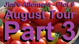 Jims Allotment  Plot 9  August Tour Part 3  Espalier trees Tomatoes Spinach and Comments [upl. by Enyledam]