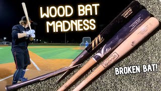 Wood Bat Madness 12  American Batsmith TS28 Birch vs Marucci LINDY12 amp Victus TATIS23 Maple [upl. by Ianahs]