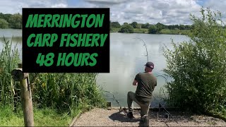 MERRINGTON CARP FISHERY  MAIN LAKE  SUMMER CARP FISHING  SHROPSHIRE [upl. by Nylirehs]