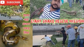 CHANDER VIHAR AREA ME बोहत बड़ा अजगर पकड़ा गया  GIENT AJGAR RESCUE MISSION snakerescue [upl. by Sherill]