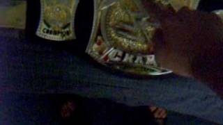 My Entire WWE Championship Belt Collection [upl. by Craner701]