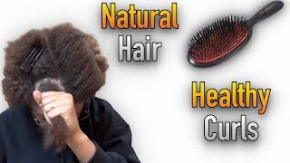 How to Brush Natural Hair with Boar Bristle Brush for Healthy Curls  Morrocco Method [upl. by Uphemia]