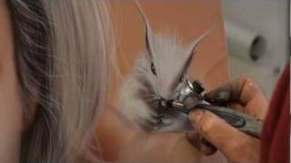 Ecureuil aérographie Squirrel airbrush painting peinture contemporaine [upl. by Ahsenat966]