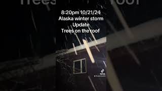 alaska winter storm update from last week unusual heavysnow sleet rain wintrymix nopower [upl. by Einuj]