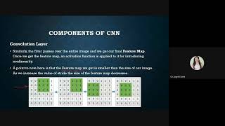 Master CNNs for Image Classification CIFAR10 Animal Dataset Tutorial [upl. by Lehrer762]