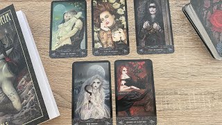 Tarot of Vampyres  My Card Potraits [upl. by Manly]