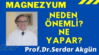 Besin Takviyesi Magnezyum ProfDrSerdar Akgün Sağlıklı Yaşam Sağlık Haberleri [upl. by Ythomit]