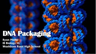 DNA Packaging [upl. by Wallraff354]