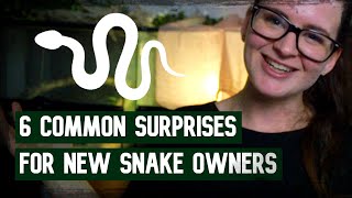 6 COMMON SURPRISES for new snake owners [upl. by Aliuqat]