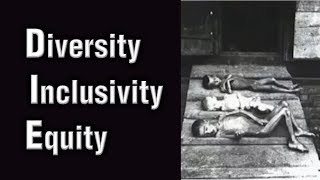 Jordan Peterson  Diversity Inclusivity amp Equity [upl. by Nilre]