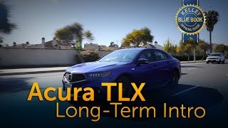 2018 Acura TLX  LongTerm Ownership Intro [upl. by Brinson137]