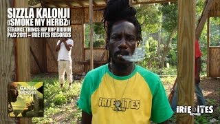 Sizzla  Smoke My Herbz  Strange Things Riddim Official Video [upl. by Nosaj]