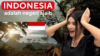 “Wonderland Indonesia” by Alffy Rev ft Novia Bachmid Chapter 1  Reaction [upl. by Jacinda]