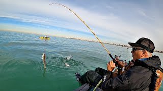 IMPRESIONANTE PESCA EN AGUAS CLARAS CUANDO ENCONTRÉ EL CARDUMEN [upl. by Aljan]