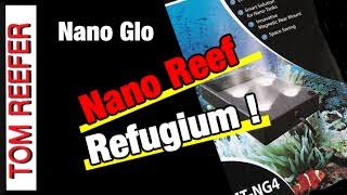 Nano Reef Tank REFUGIUM SET UP 20 Gallon Nano Reef NANO GLOW LIGHT [upl. by Lebezej526]