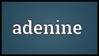 Adenine Meaning [upl. by Budworth320]